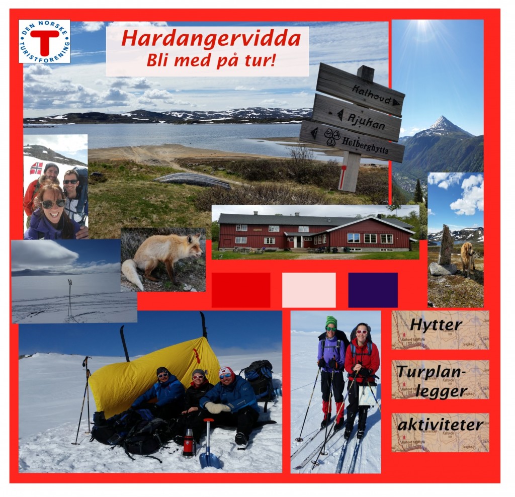 Moodboard Hardangervidda